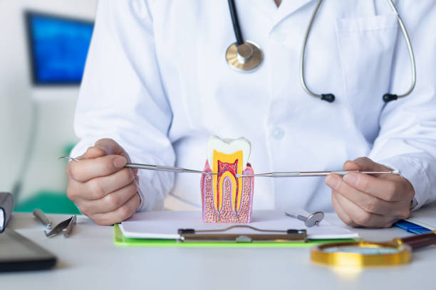 Best Emergency Dental Care for Trauma or Injury in Jekyll Island, GA